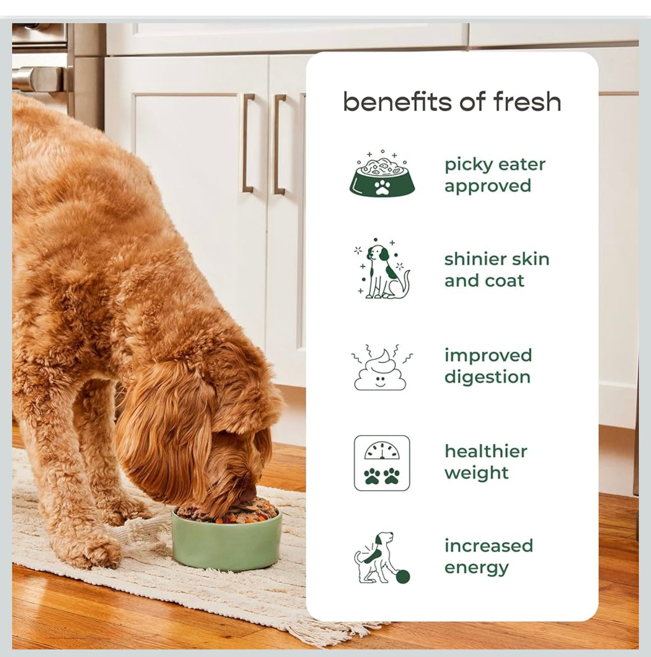 Dog Joy Slow Grilled Chicken Treat, 6.4 oz Bag