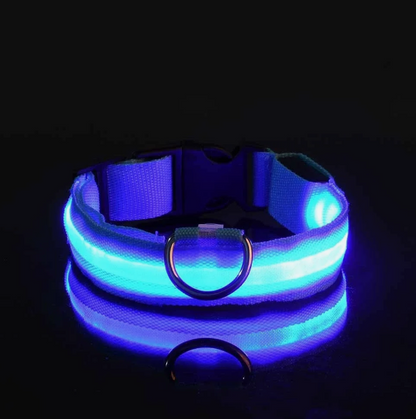 LED Adjustable Dog Collar Blinking Flashing Light Up Glow Pets Safety Waterproof
