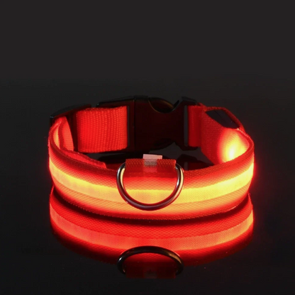 LED Adjustable Dog Collar Blinking Flashing Light Up Glow Pets Safety Waterproof