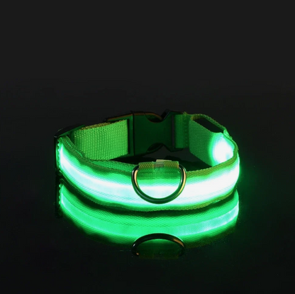LED Adjustable Dog Collar Blinking Flashing Light Up Glow Pets Safety Waterproof